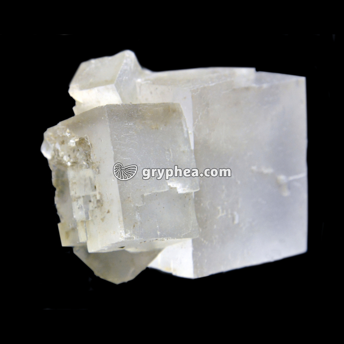Halite - sel gemme - gryphea.com